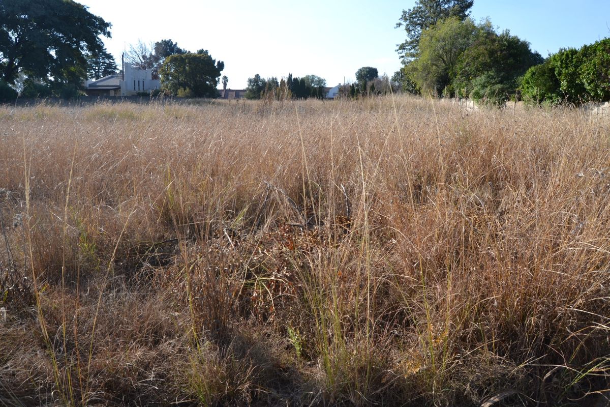 A view of a vacant residential plot covered in dry grass with mature trees in the background.