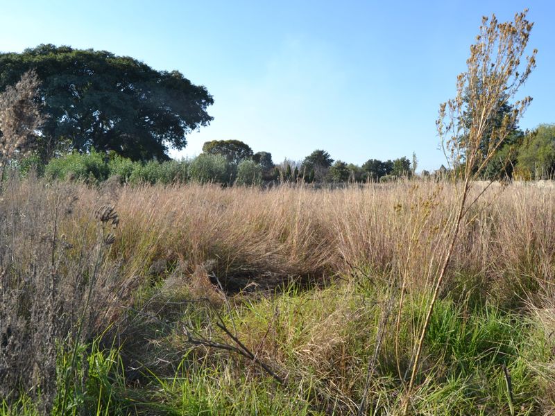 A view of the vacant residential land featuring natural grass and mature trees, offering a blank canvas for future development.