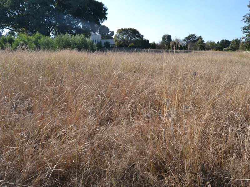 A view of a vacant residential plot featuring tall dry grass and mature trees in the background.