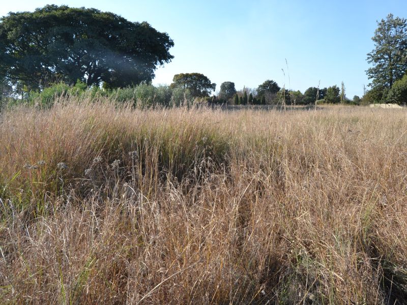 A view of a vacant residential plot featuring natural grassland and mature trees, offering a blank canvas for future development.
