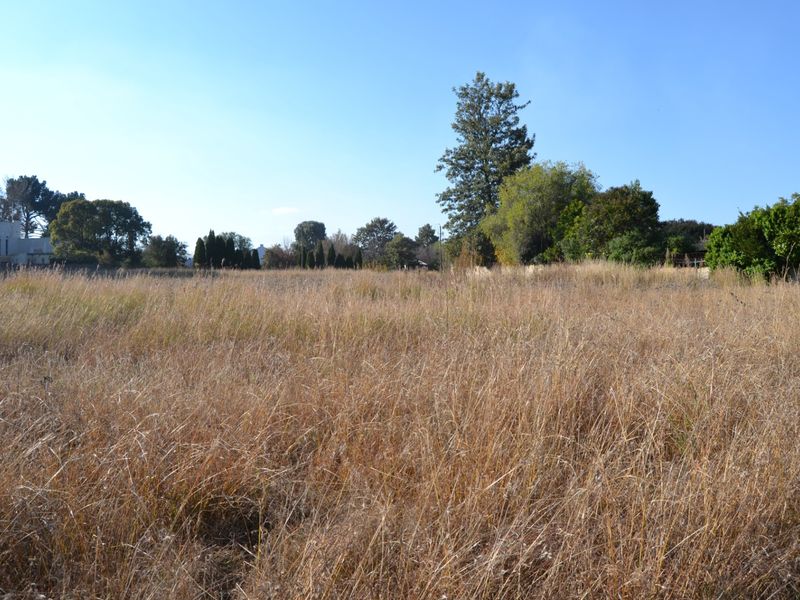 A view of a vacant residential plot featuring natural grassland and mature trees, offering a blank canvas for future development.