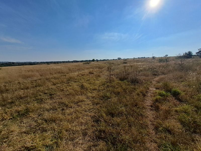 A wide-angle view of the expansive, undeveloped farm landscape featuring natural grassland under a clear blue sky.