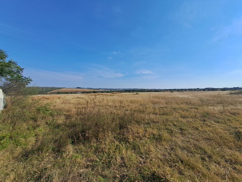 Expansive open landscape view showcasing the natural terrain and horizon of the farm property.