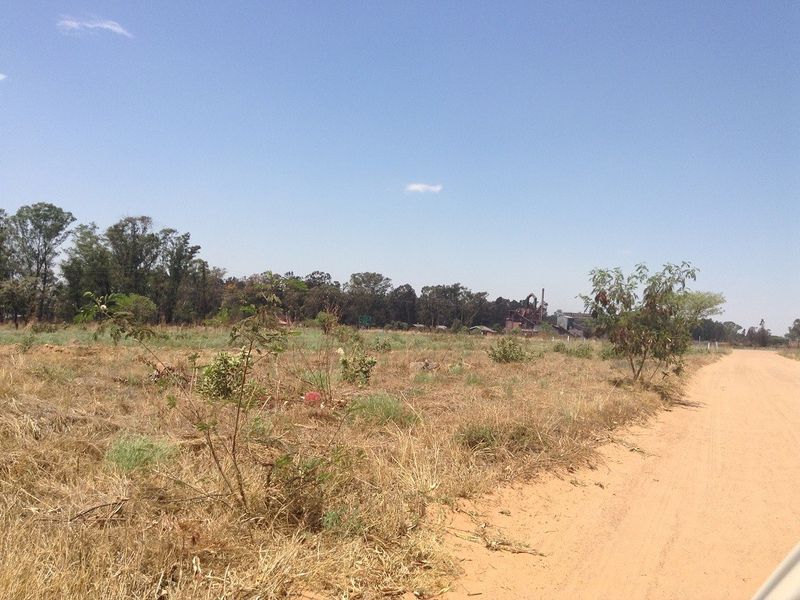 A view of a vacant residential plot featuring natural vegetation and access via an unpaved dirt road.