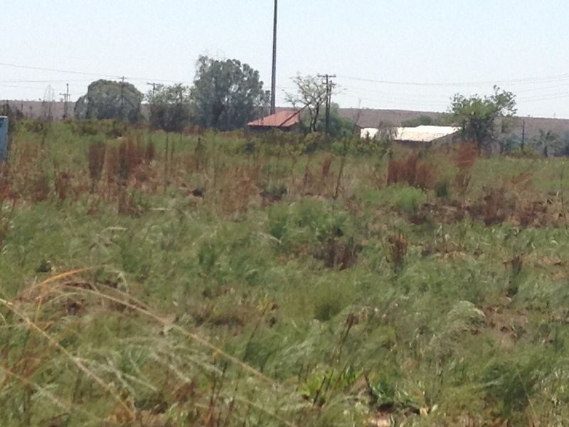 A view of a vacant residential plot featuring natural vegetation, utility poles, and overhead power lines.