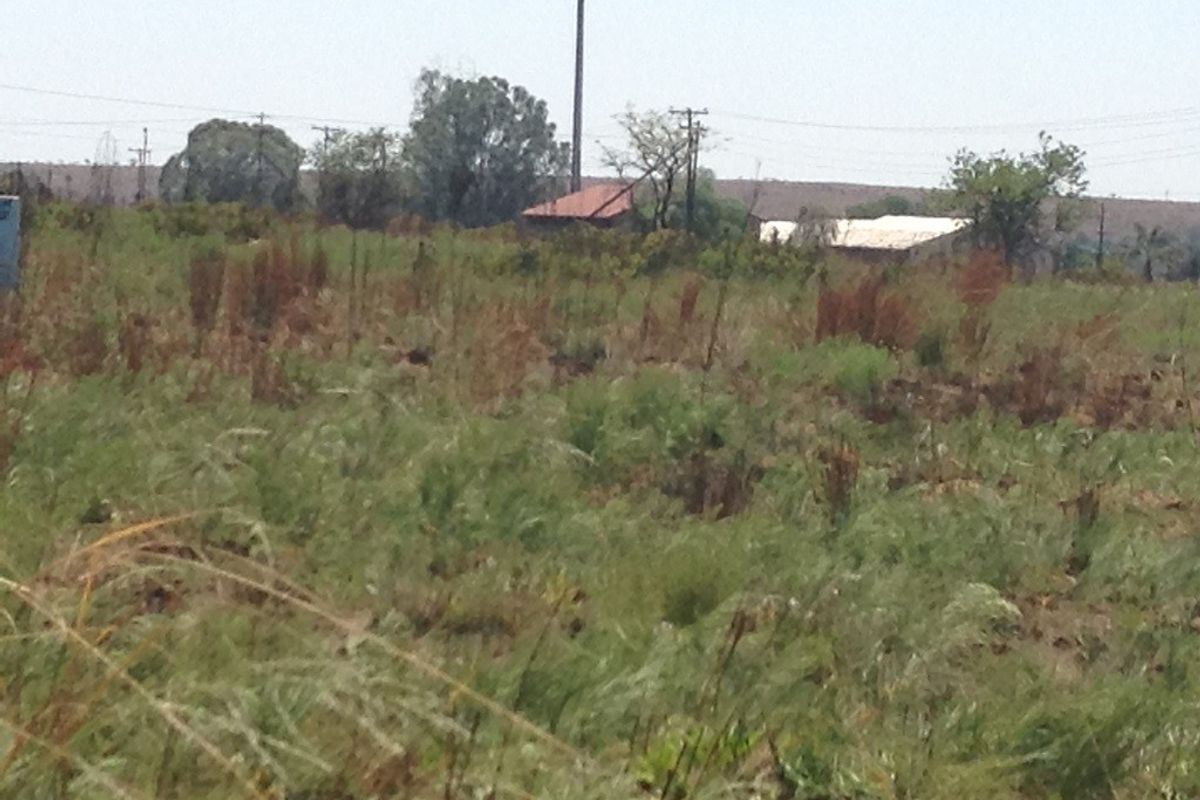 A view of a vacant residential plot featuring natural vegetation, utility poles, and overhead power lines.