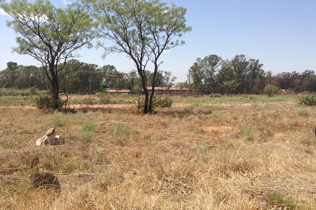 A view of a vacant residential plot featuring mature trees and natural vegetation, offering a blank canvas for future development.