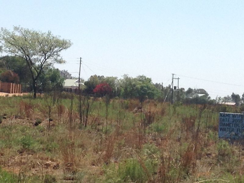 A view of a vacant residential plot featuring natural vegetation, utility poles, and overhead power lines.
