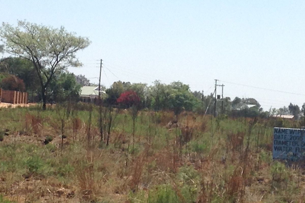 A view of a vacant residential plot featuring natural vegetation, utility poles, and overhead power lines.