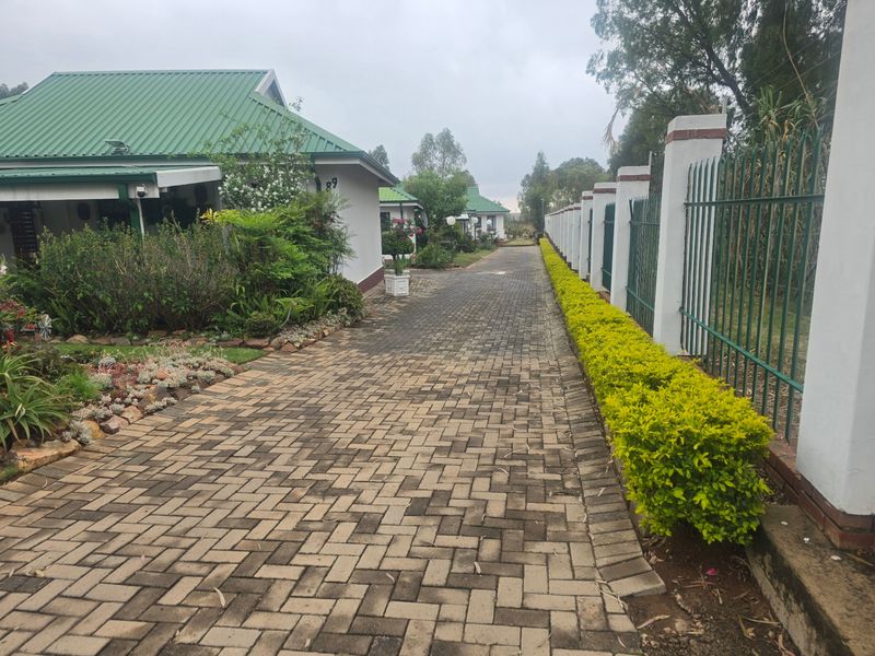 A paved driveway leading through a townhouse complex, featuring green metal roofs, established garden beds, and secure metal perimeter fencing.