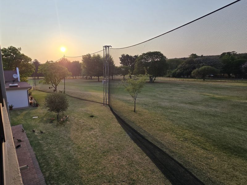 Spacious backyard garden area featuring a large lawn, paved walkway, and protective safety netting, captured during sunset.