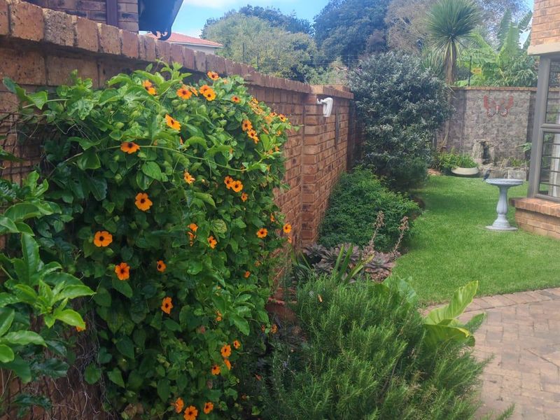 A well-maintained garden area featuring a brick boundary wall, lush greenery, and a paved walkway leading through the outdoor space.