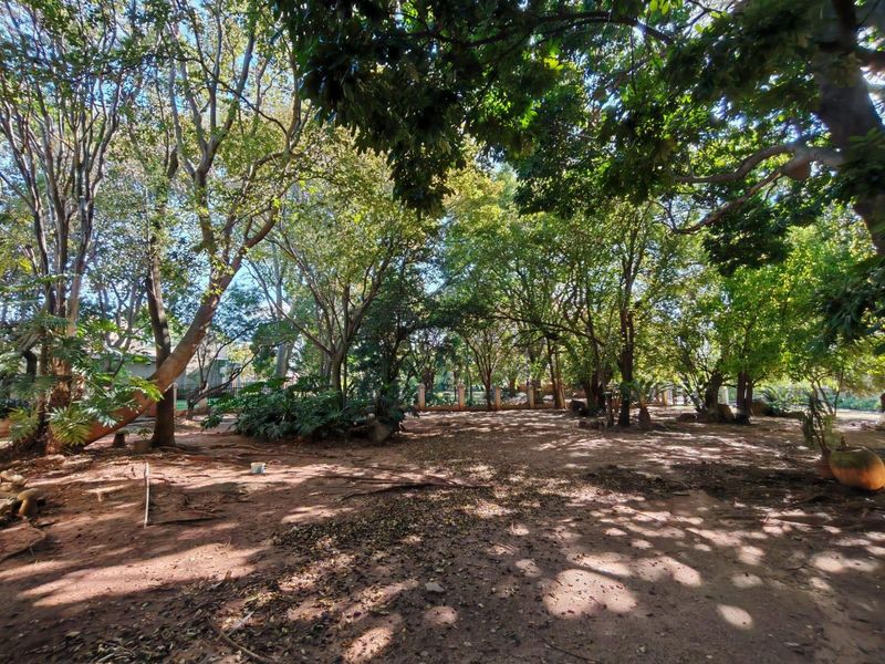 A spacious, shaded garden area featuring mature trees and perimeter fencing, offering a natural and private outdoor setting.