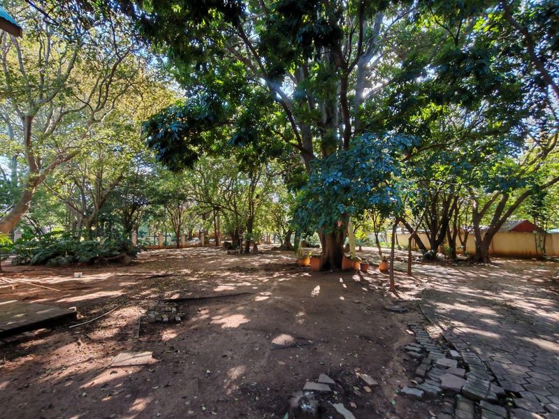A spacious, tree-filled garden area featuring mature trees, a perimeter wall, and sections of paved pathways requiring maintenance.