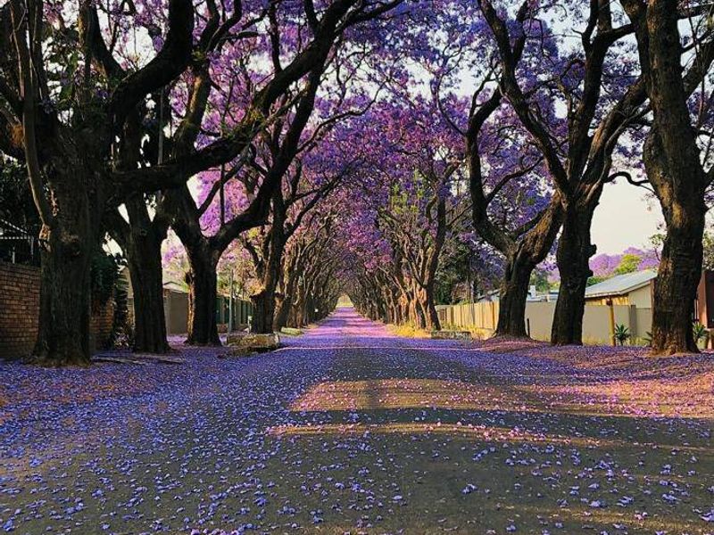 House For Sale In Cullinan - Photo 10