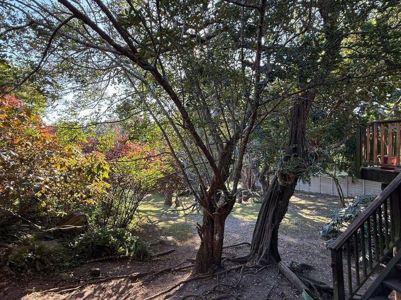 House For Sale In Margate - Photo 7