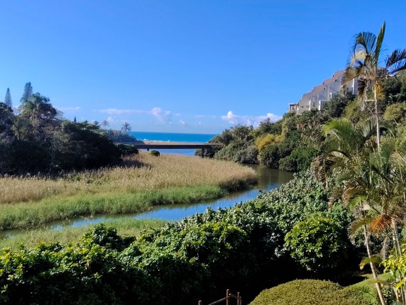 Scenic elevated view overlooking a river estuary, lush coastal vegetation, and the distant ocean horizon.