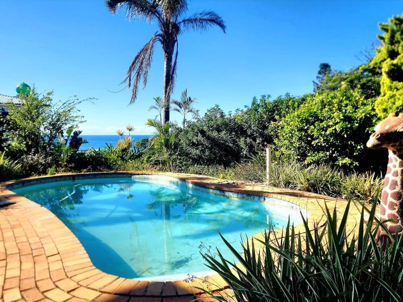 Commercial For Sale In Port Shepstone - Photo 6