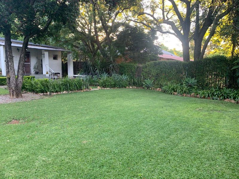 A well-maintained, spacious garden featuring a lush green lawn, mature trees, and established perimeter hedging.