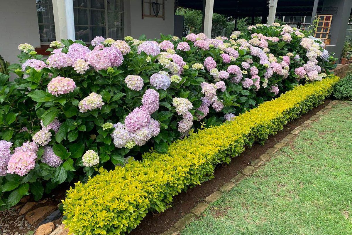 House For Sale In Cullinan - Photo 2