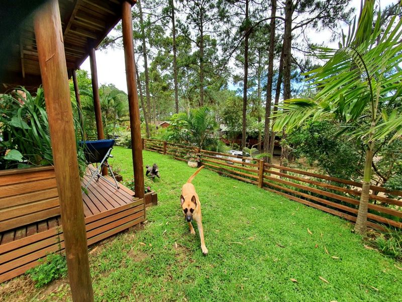 A well-maintained garden area featuring timber decking, wooden support posts, and a timber slat fence, set within a natural, tree-lined environment.