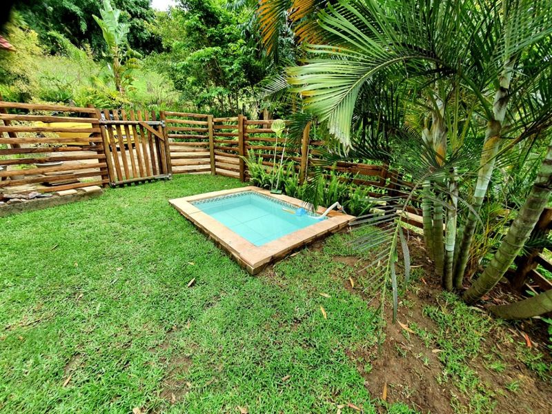 A compact backyard plunge pool featuring tiled coping, surrounded by a timber fence and lush garden landscaping.