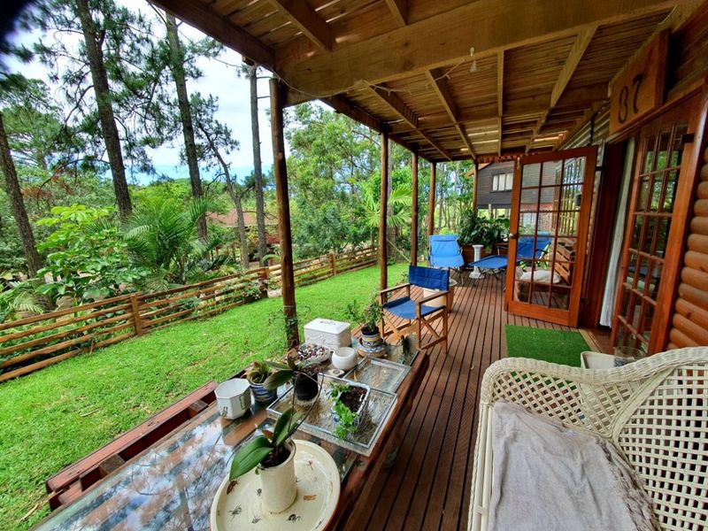 A covered timber patio featuring wooden decking and pergola, overlooking a lush garden area with timber fencing.