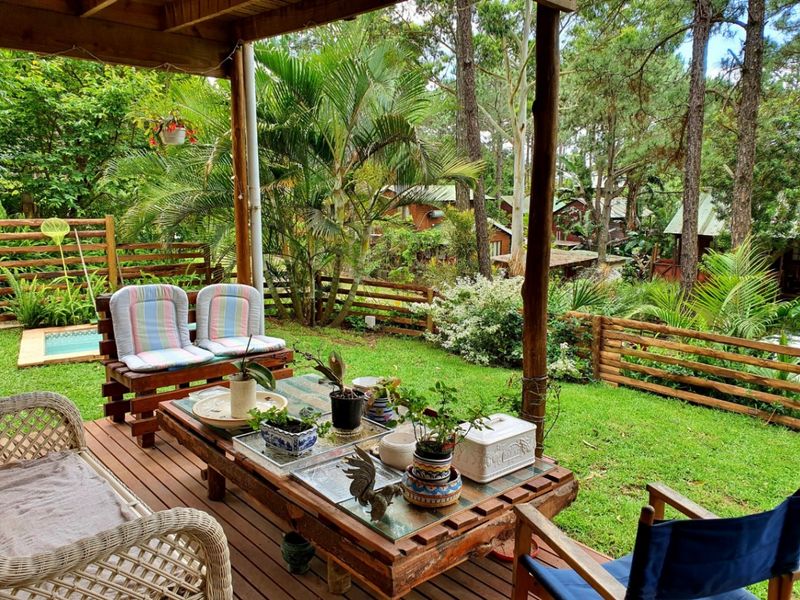 A covered timber patio overlooking a lush garden area with mature trees and wooden fencing, providing a peaceful outdoor living space.