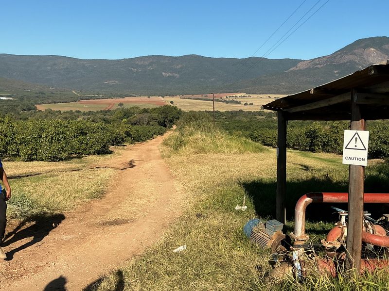 A view of the farm landscape featuring an irrigation pump station and a dirt access track leading through the orchards.