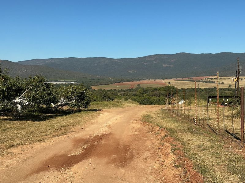 A scenic view of the farm landscape featuring a dirt access road, wire fencing, and an established orchard against a mountain backdrop.