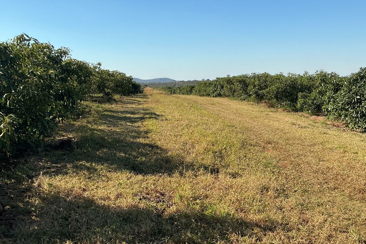 Farm For Sale In Polokwane - Photo 5