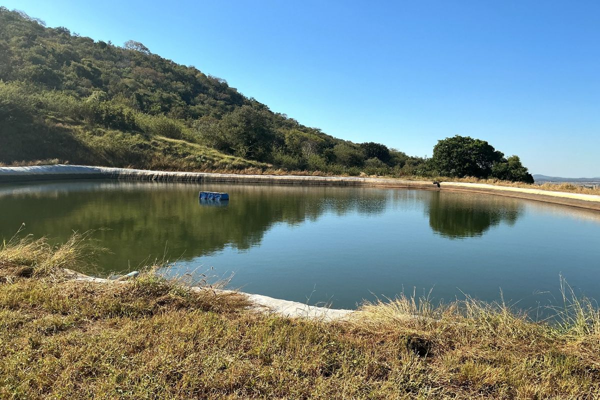 Farm For Sale In Polokwane - Photo 2