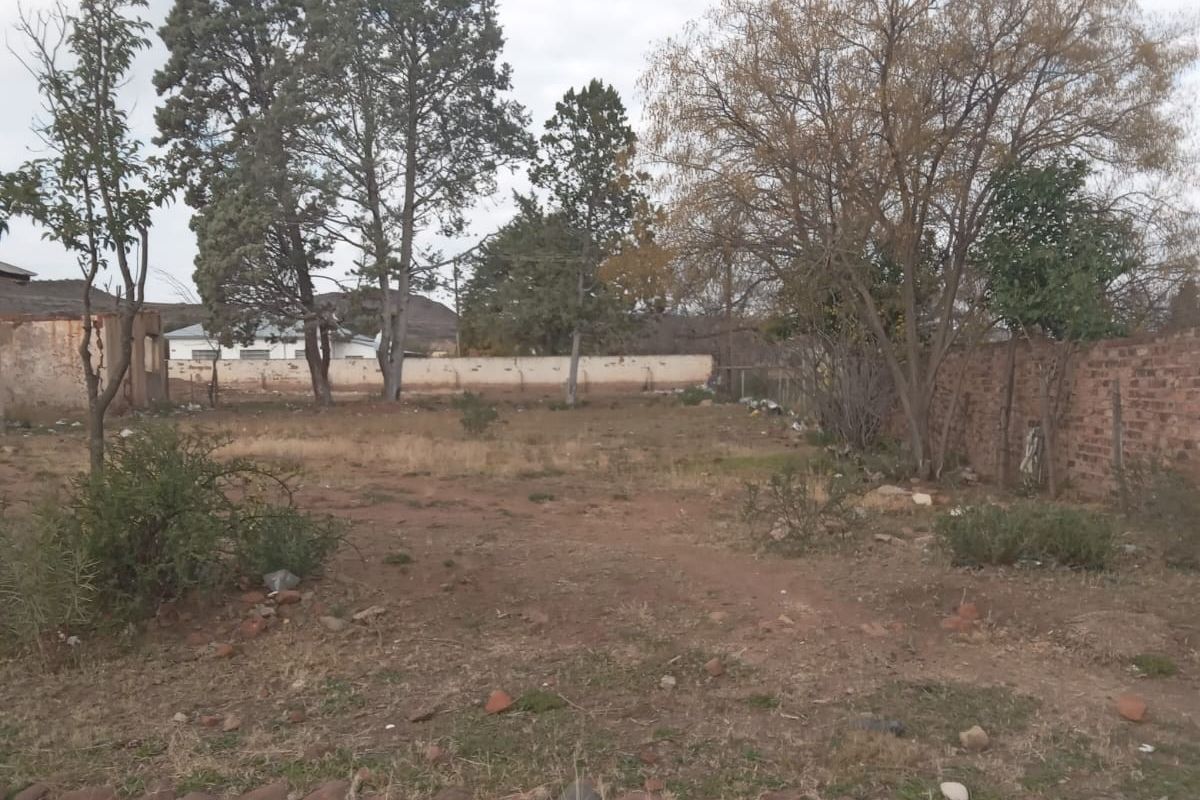 A vacant residential plot featuring mature trees and a partial brick boundary wall, offering a blank canvas for future development.