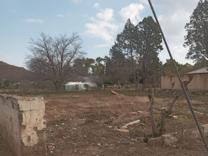 Vacant Land For Sale In Steynsburg - Photo 5