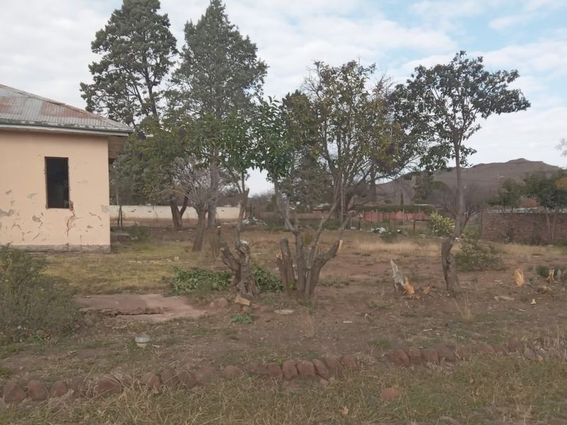 Vacant Land For Sale In Steynsburg - Photo 3