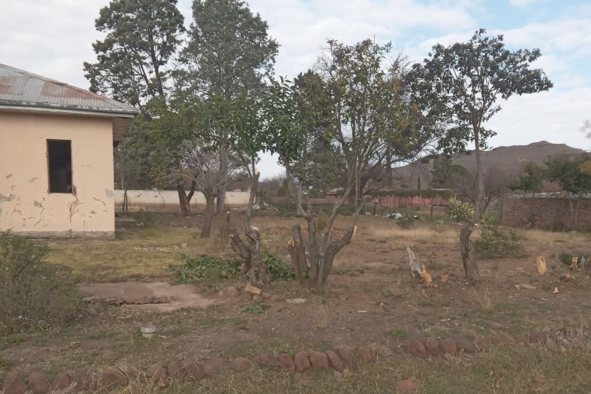 Vacant Land For Sale In Steynsburg - Photo 3