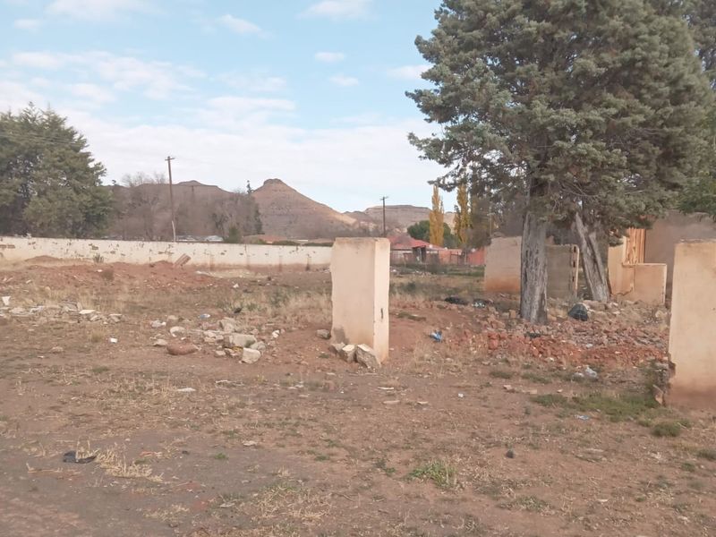 Vacant Land For Sale In Steynsburg - Photo 4