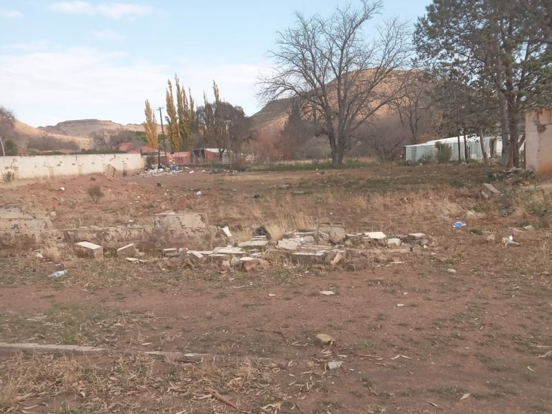 Vacant Land For Sale In Steynsburg - Photo 2