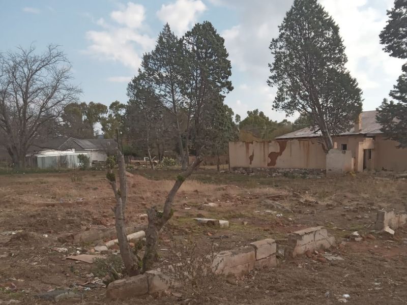 Vacant Land For Sale In Steynsburg - Photo 6