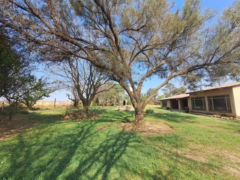 Farm For Sale In Bronkhorstspruit - Photo 7