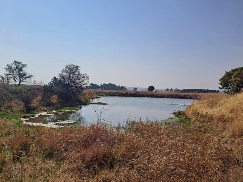 Farm For Sale In Bronkhorstspruit - Photo 10