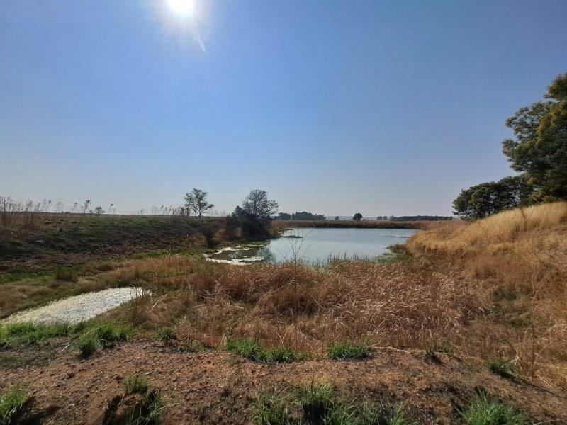 Farm For Sale In Bronkhorstspruit - Photo 9
