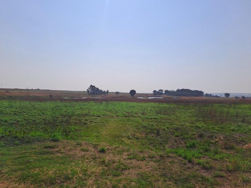 Farm For Sale In Bronkhorstspruit - Photo 8
