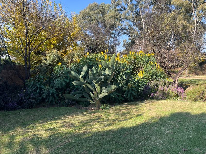 Commercial For Sale In Sandton - Photo 3