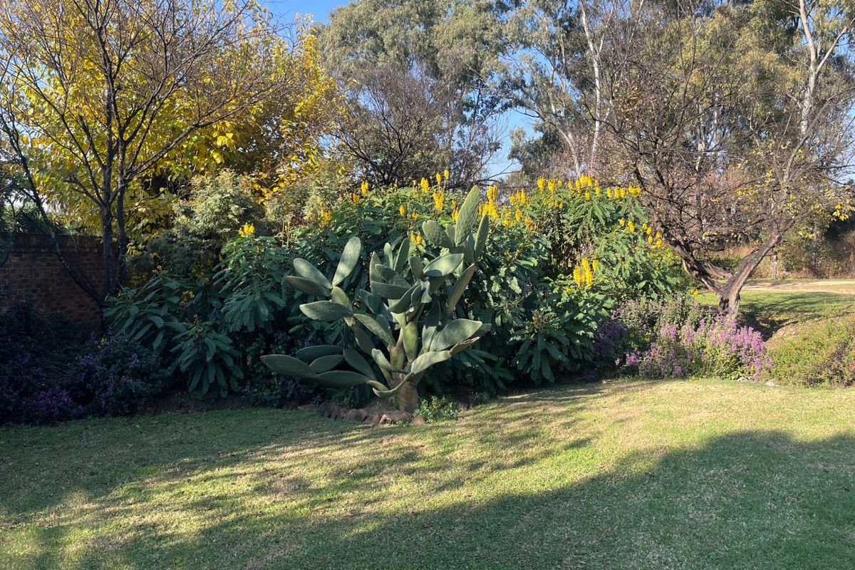 Commercial For Sale In Sandton - Photo 3