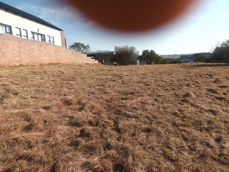 A view of a vacant residential plot featuring dry grass and a boundary wall, with neighboring structures visible in the background.