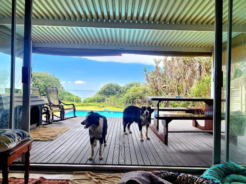 House For Sale In Port Shepstone - Photo 9