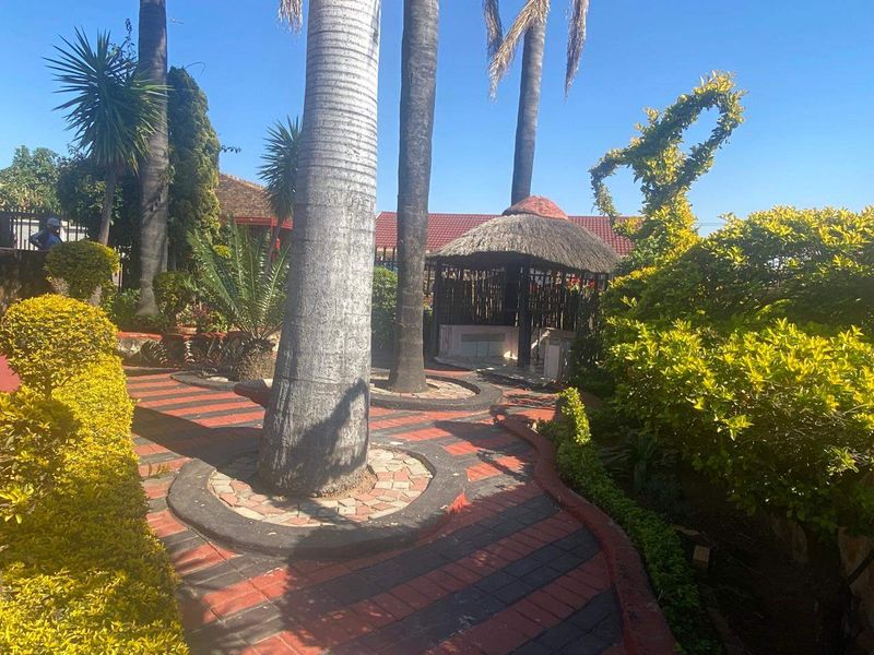 A well-established garden featuring mature palm trees, decorative paved pathways, and a traditional thatched gazebo for outdoor relaxation.