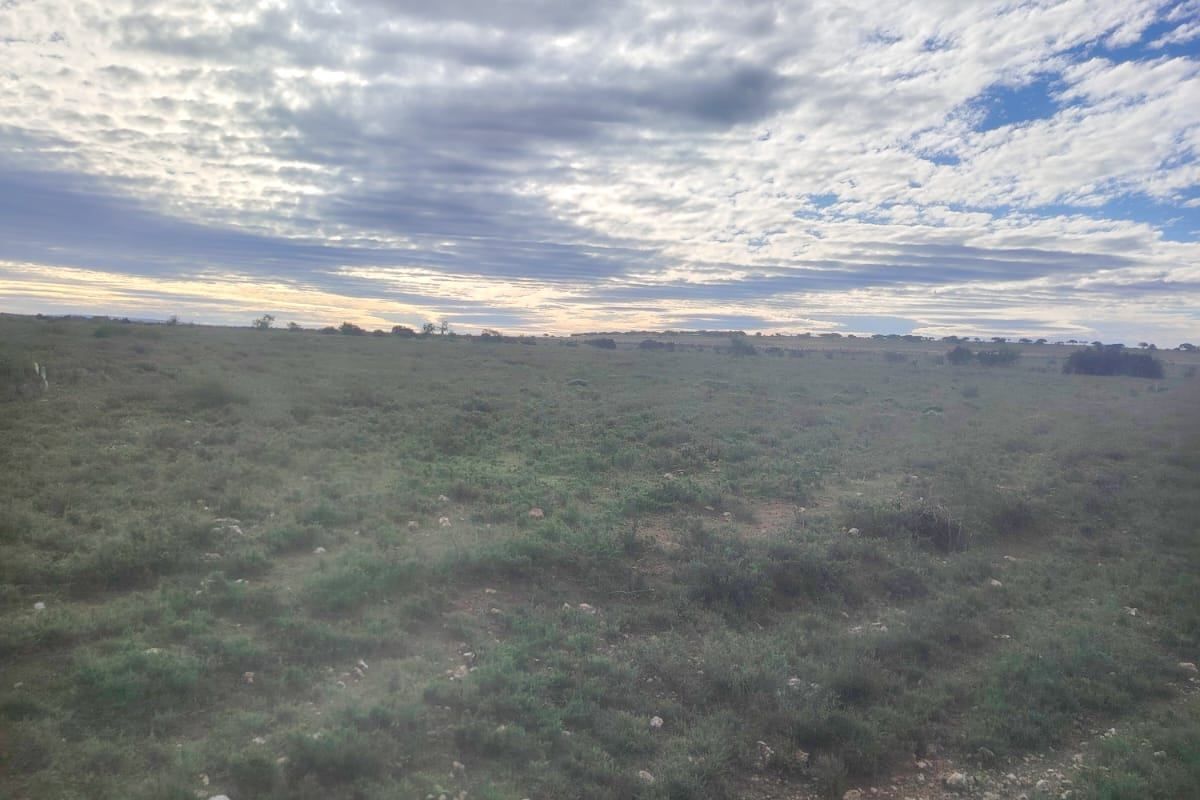 A wide-angle view of the expansive open landscape and natural terrain characteristic of the farm property.