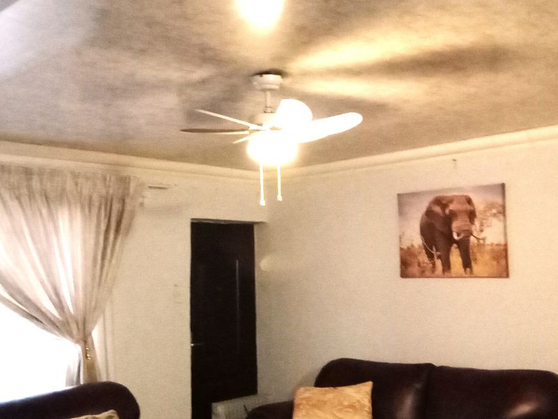 A living room featuring a ceiling fan and decorative cornice, showing visible signs of ceiling staining.